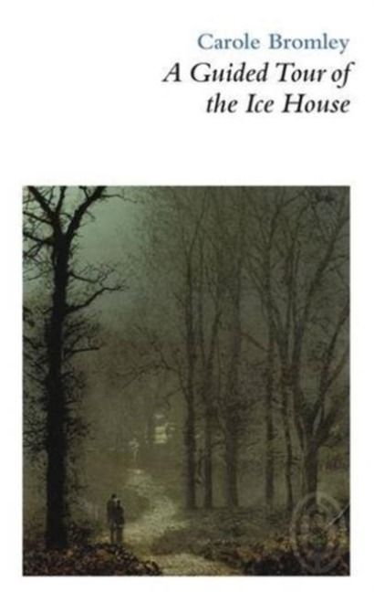 Produktbild: A Guided Tour of the Ice House