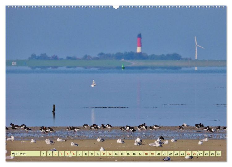 Produktbild: Sonne, Sand und Meer. Farben der K&uuml;ste (Wandkalender 2026 DIN A2 quer), CALVENDO Monatskalender