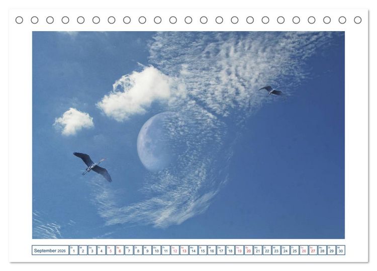 Produktbild: MoonMania (Tischkalender 2026 DIN A5 quer), CALVENDO Monatskalender
