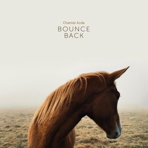 Produktbild: Bounce Back