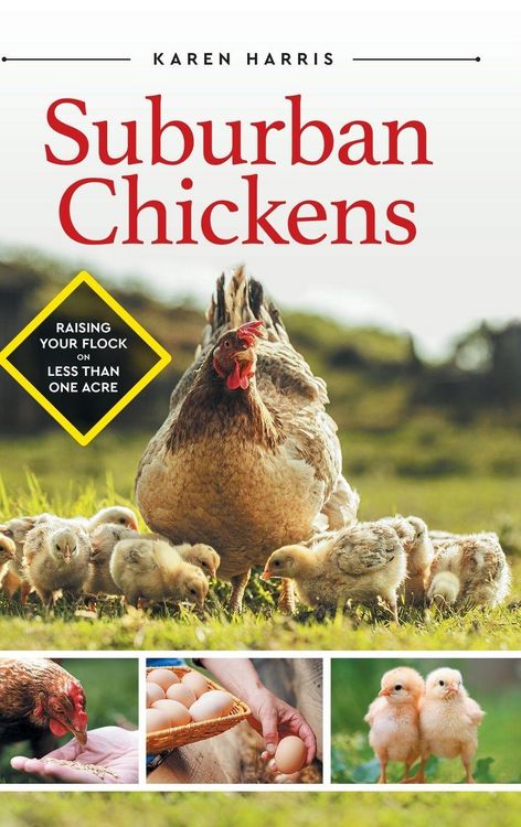 Produktbild: Suburban Chickens