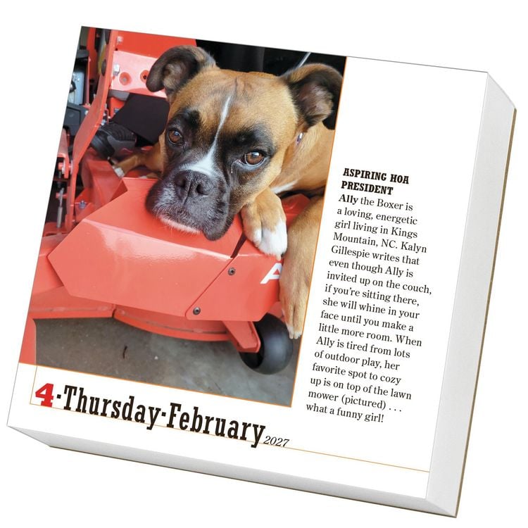Produktbild: 365 Dogs Page-A-Day&reg; Calendar 2027