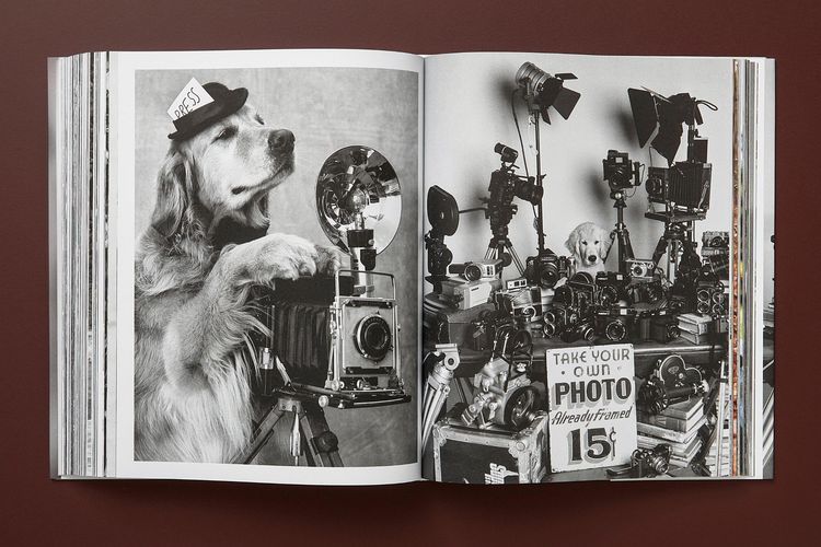 Produktbild: Bruce Weber