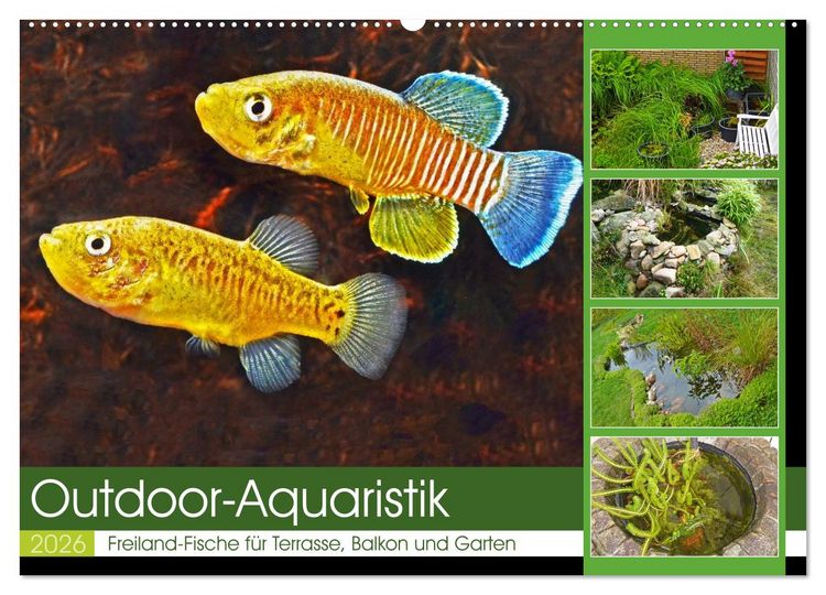 Produktbild: Outdoor-Aquaristik (Wandkalender 2026 DIN A2 quer), CALVENDO Monatskalender