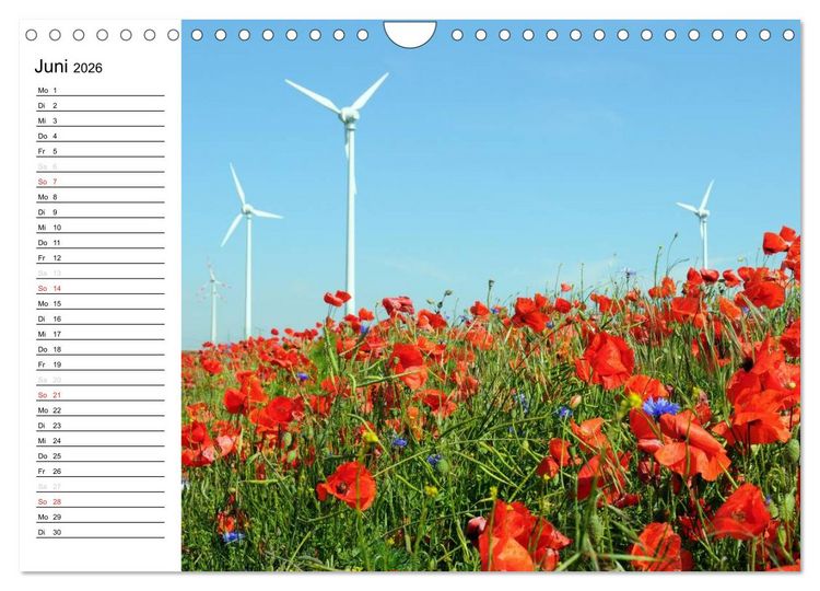 Produktbild: Vier Jahreszeiten im Land Brandenburg (Wandkalender 2026 DIN A4 quer), CALVENDO Monatskalender
