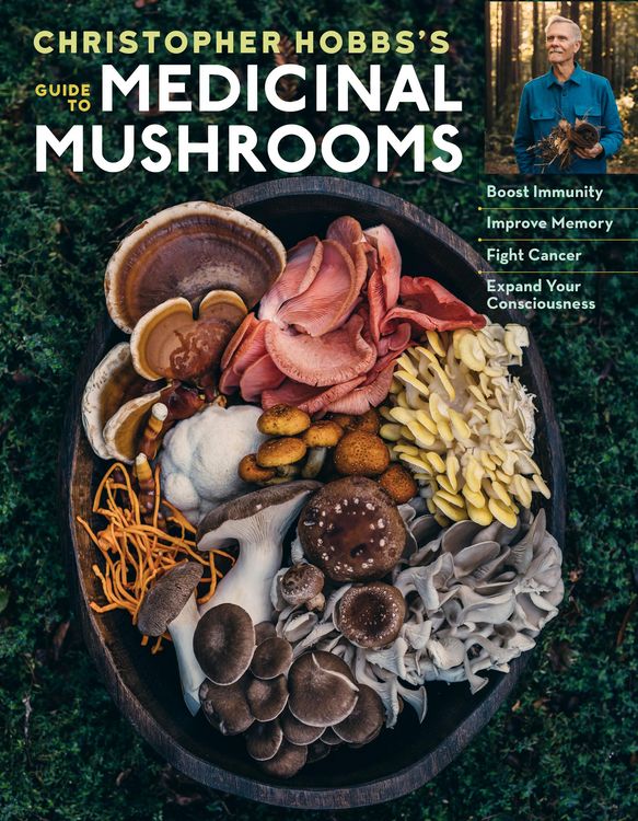 Produktbild: Christopher Hobbs's Medicinal Mushrooms: The Essential Guide