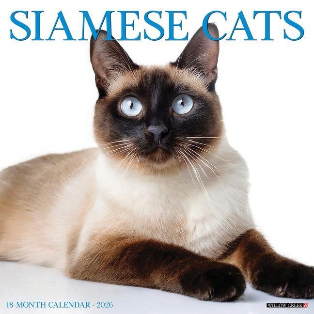 Produktbild: Siamese Cats 2026 Wall Calendar