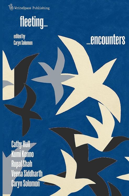 Produktbild: Fleeting Encounters