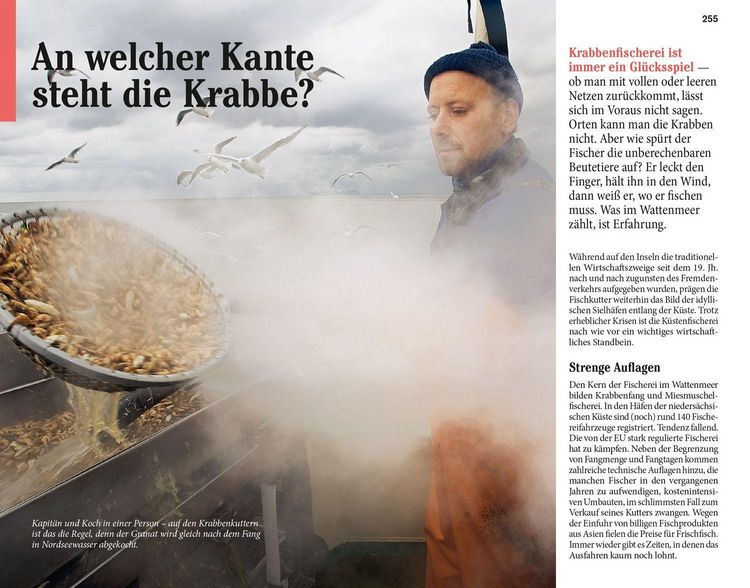 Produktbild: DuMont Reise-Taschenbuch Ostfriesische Inseln & Nordseek&uuml;ste