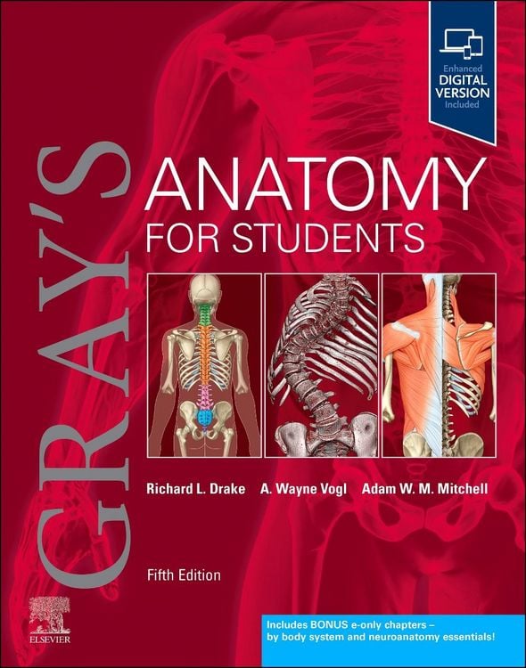 Produktbild: Gray's Anatomy for Students