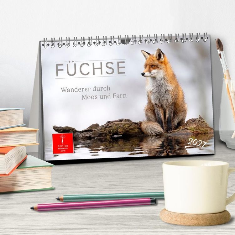 Produktbild: F&uuml;chse - Wanderer durch Moos und Farn (Tischkalender 2027 DIN A5 quer), CALVENDO Monatskalender
