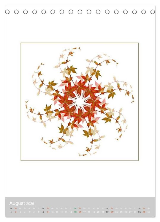 Produktbild: Pflanzen - Mandalas aus Bl&uuml;ten und Bl&auml;ttern (Tischkalender 2026 DIN A5 hoch), CALVENDO Monatskalender