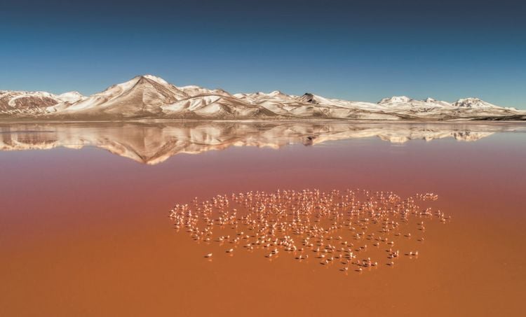 Produktbild: Terra