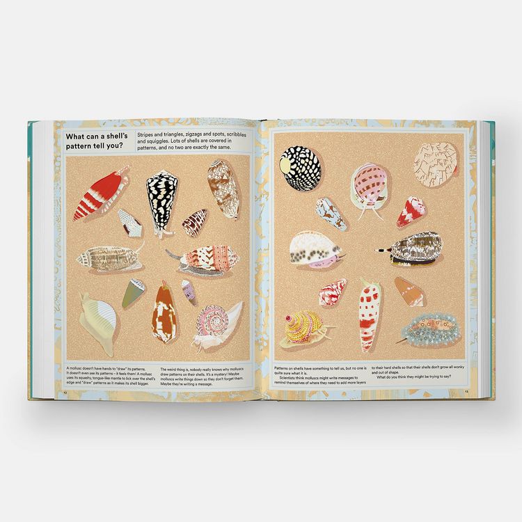 Produktbild: What A Shell Can Tell