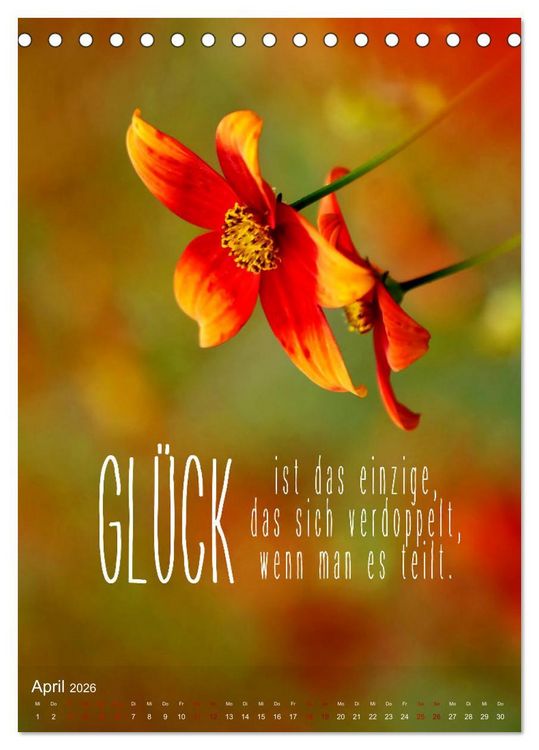 Produktbild: ICH W&Uuml;NSCHE DIR GL&Uuml;CK - 12 Monate mit inspirierenden Gl&uuml;ckszitaten (Tischkalender 2026 DIN A5 hoch), CALVENDO Monatskalender