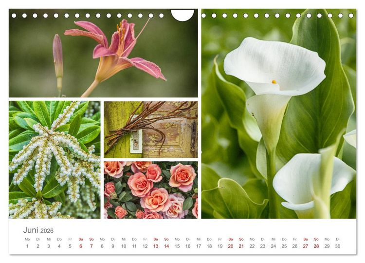 Produktbild: Ein Garten, der zum Verweilen einl&auml;dt (Wandkalender 2026 DIN A4 quer), CALVENDO Monatskalender