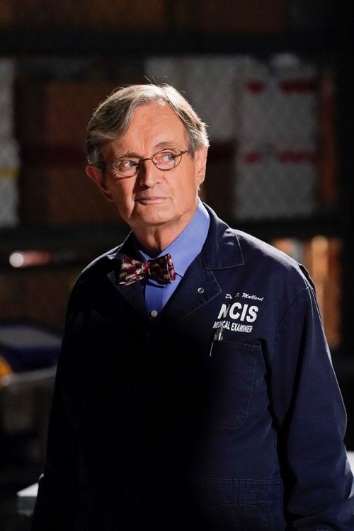 Produktbild: NCIS - Season 16 [6 DVDs]