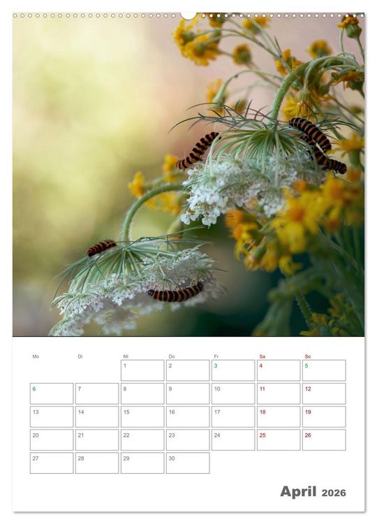 Produktbild: Helden in der Natur (Wandkalender 2026 DIN A2 hoch), CALVENDO Monatskalender