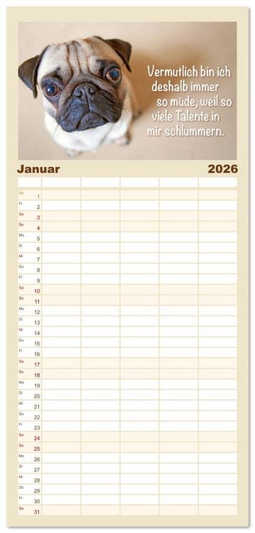Produktbild: Familienplaner 2026 - Mopsala: Vom Gl&uuml;ck, ein Mops zu sein mit 5 Spalten (Wandkalender, 21 x 45 cm) CALVENDO