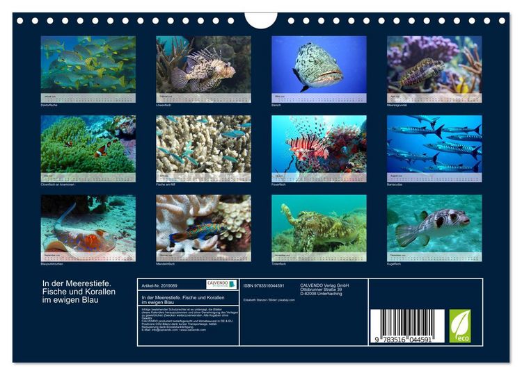Produktbild: In der Meerestiefe. Fische und Korallen im ewigen Blau (Wandkalender 2026 DIN A4 quer), CALVENDO Monatskalender