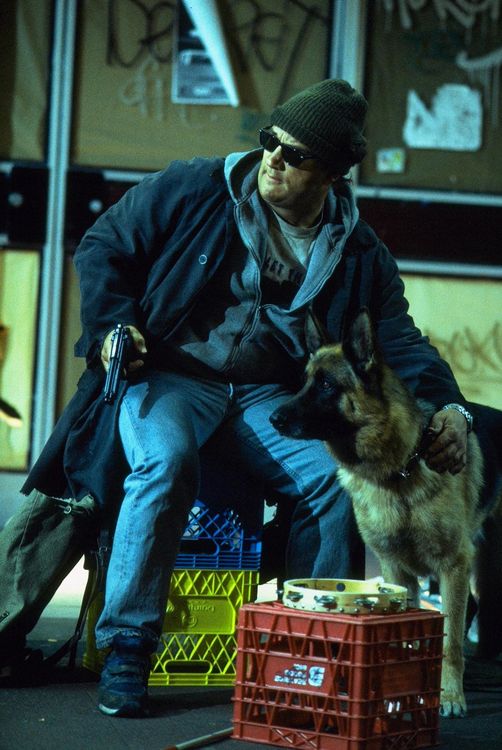 Produktbild: K-9/K-911/K-9: P.I. - Mein Partner mit der kalten Schnauze [3 DVDs]