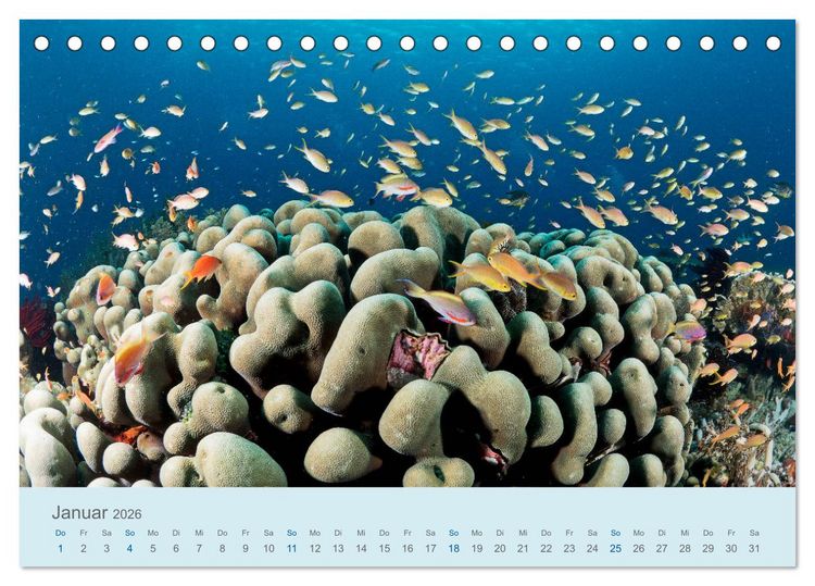 Produktbild: Abenteuer Unterwasser (Tischkalender 2026 DIN A5 quer), CALVENDO Monatskalender