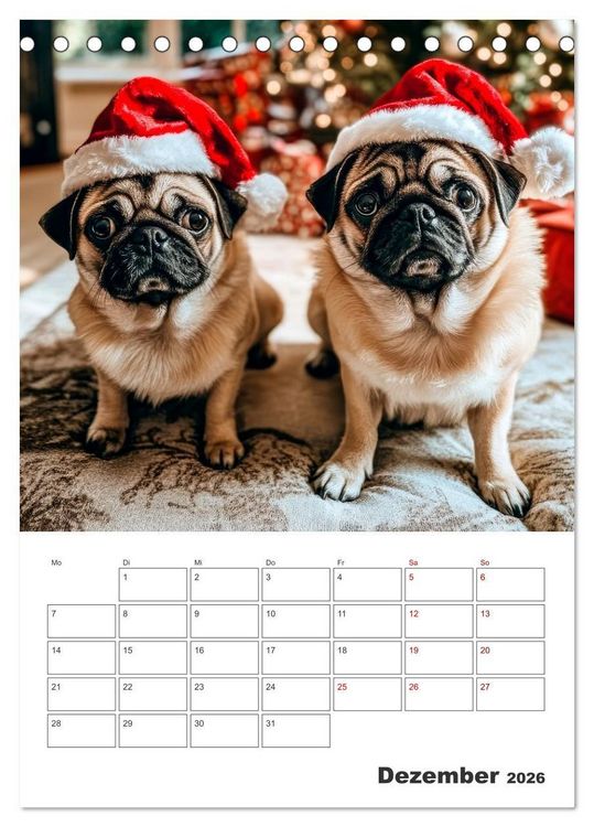 Produktbild: MOPS Pfotengl&uuml;ck in Faltenform (Tischkalender 2026 DIN A5 hoch), CALVENDO Monatskalender