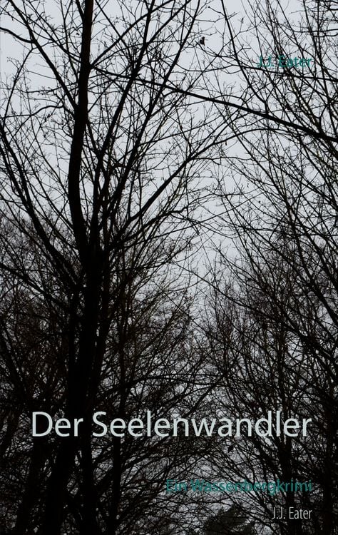 Produktbild: Der Seelenwandler