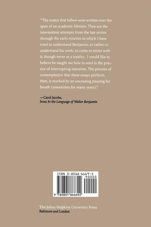 Produktbild: In the Language of Walter Benjamin