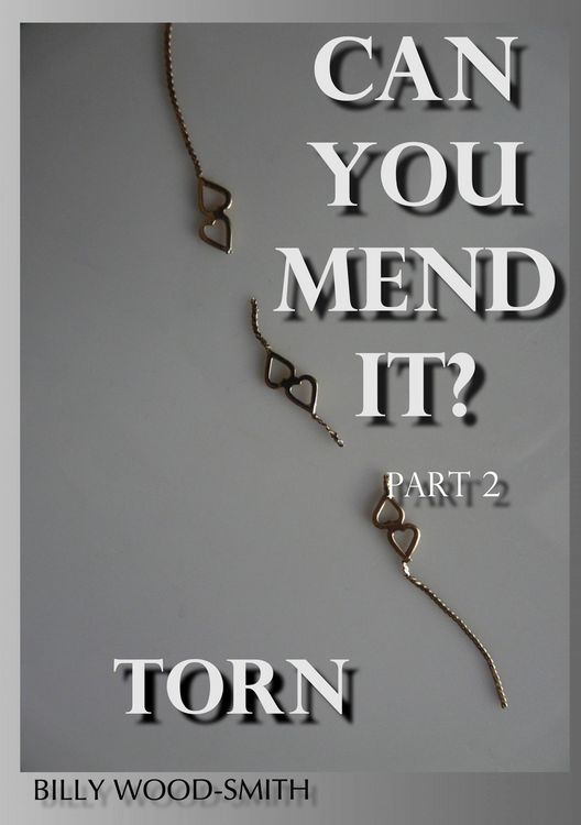 Produktbild: Can You Mend It? Part 2 - Torn ('Can You Mend It?' Series, #2)