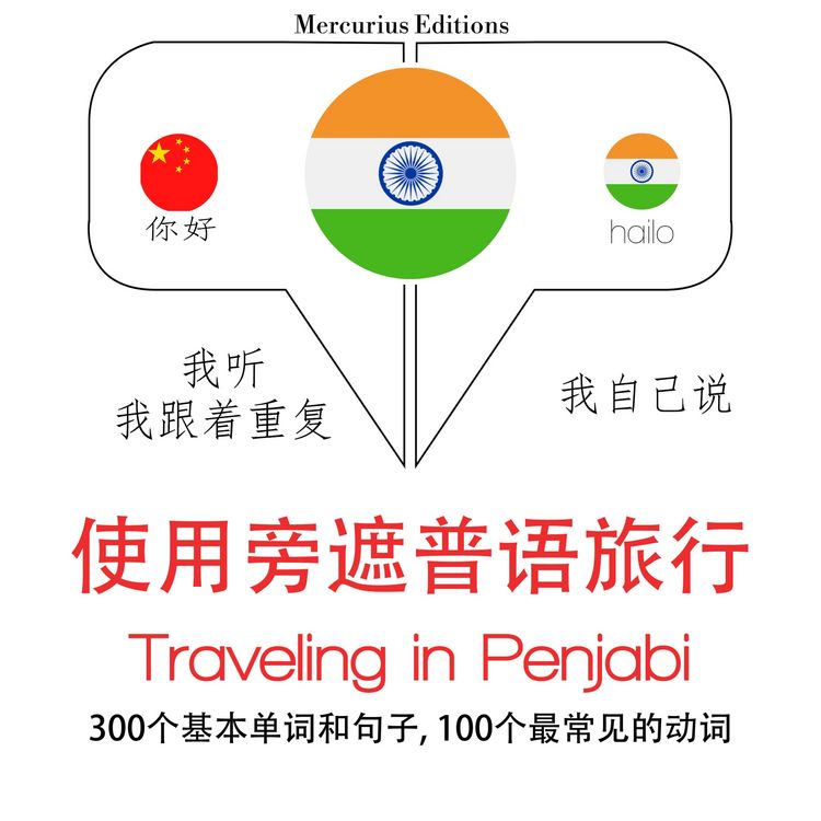 Produktbild: Travel words and phrases in Punjabi
