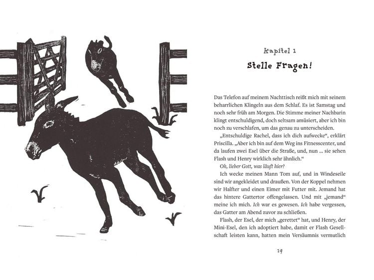 Produktbild: Das Esel-Prinzip