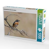 Produktbild: CALVENDO Puzzle Braunkehlchen (Saxicola rubetra) | 1000 Teile Lege-Gr&ouml;&szlig;e 64x48cm Foto-Puzzle f&uuml;r gl&uuml;ckliche Stunden