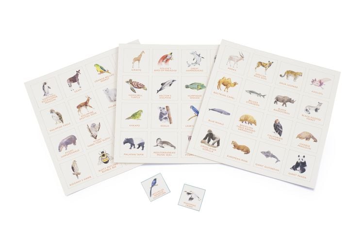 Produktbild: Endangered Animals Bingo