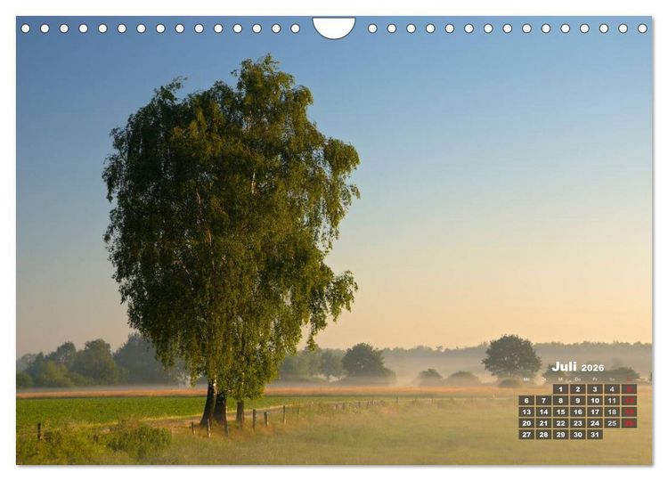 Produktbild: Die Dingdener Heide im Wandel der Jahreszeiten (Wandkalender 2026 DIN A4 quer), CALVENDO Monatskalender