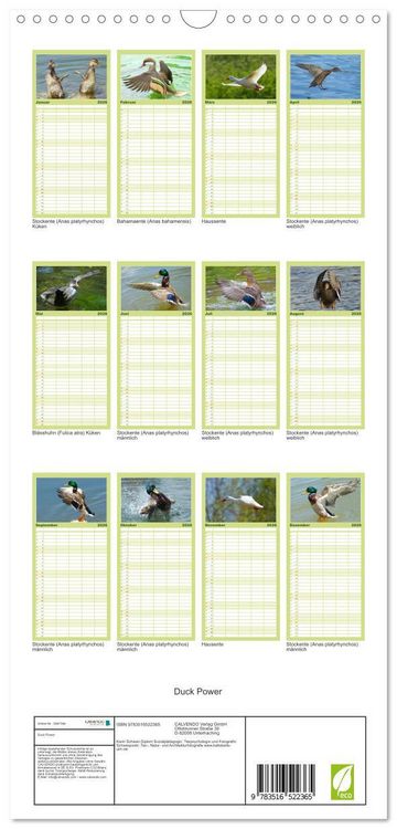 Produktbild: Familienplaner 2026 - Duck Power mit 5 Spalten (Wandkalender, 21 x 45 cm) CALVENDO
