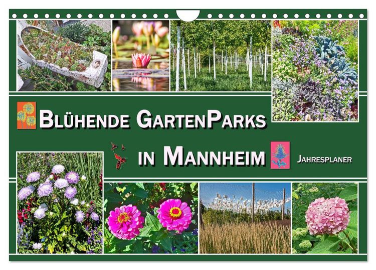 Produktbild: Bl&uuml;hende Gartenparks in Mannheim (Wandkalender 2026 DIN A4 quer), CALVENDO Monatskalender