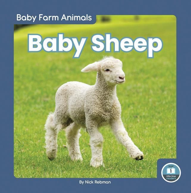 Produktbild: Baby Sheep