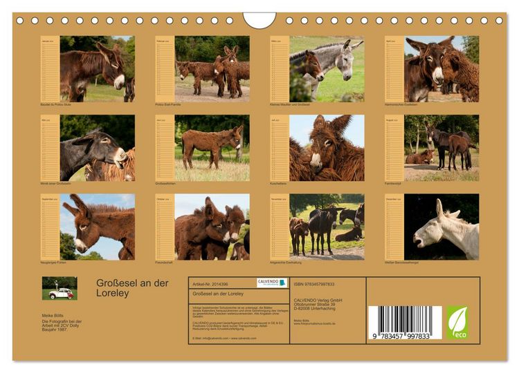 Produktbild: Gro&szlig;esel an der Loreley (Wandkalender 2026 DIN A4 quer), CALVENDO Monatskalender