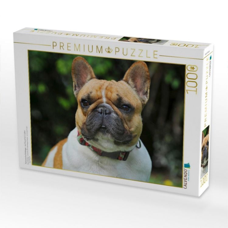 Produktbild: CALVENDO Puzzle Franz&ouml;sische Bulldogge - ein Freund f&uuml;r&acute;s Leben | 1000 Teile Lege-Gr&ouml;&szlig;e 64x48cm Foto-Puzzle f&uuml;r gl&uuml;ckliche Stunden