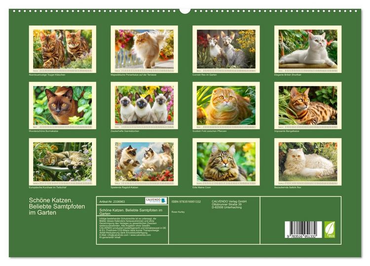 Produktbild: Sch&ouml;ne Katzen. Beliebte Samtpfoten im Garten (hochwertiger Premium Wandkalender 2027 DIN A2 quer), Kunstdruck in Hochglanz