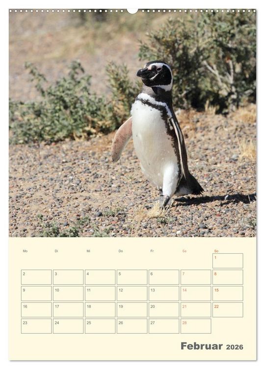 Produktbild: Mit Pinguinen durch das Jahr (Wandkalender 2026 DIN A2 hoch), CALVENDO Monatskalender