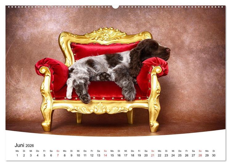Produktbild: S&uuml;&szlig;e Tr&auml;ume 2026 - schlafende Hundewelpen (hochwertiger Premium Wandkalender 2026 DIN A2 quer), Kunstdruck in Hochglanz