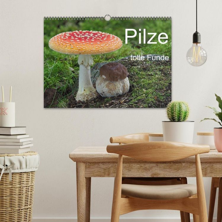 Produktbild: Pilze - tolle Funde (Wandkalender 2027 DIN A3 quer), CALVENDO Monatskalender