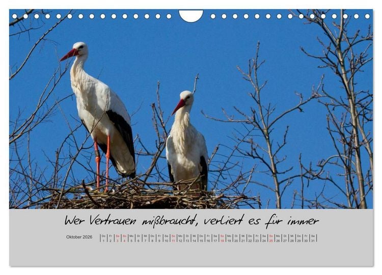 Produktbild: Kleine und gro&szlig;e Wahrheiten - Spr&uuml;che zum Nachdenken (Wandkalender 2026 DIN A4 quer), CALVENDO Monatskalender