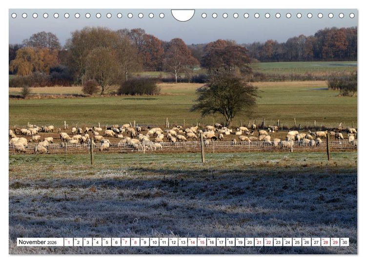 Produktbild: Impressionen aus Isernhagen (Wandkalender 2026 DIN A4 quer), CALVENDO Monatskalender