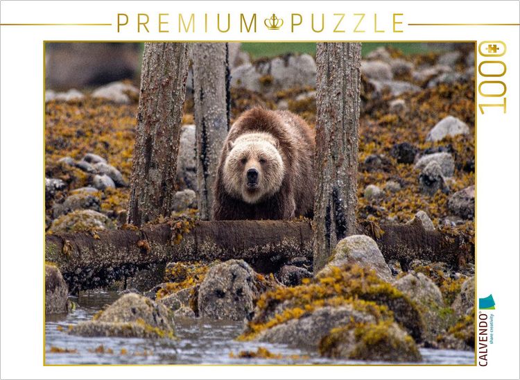 Produktbild: CALVENDO Puzzle Auf der Lauer | 1000 Teile Lege-Gr&ouml;&szlig;e 64x48cm Foto-Puzzle f&uuml;r gl&uuml;ckliche Stunden