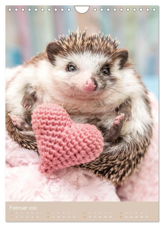 Produktbild: Gilbert der Igel (Wandkalender 2026 DIN A4 hoch), CALVENDO Monatskalender