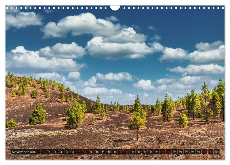 Produktbild: The canary islands Tenerife, Gran Canaria und Fuerteventura (Wall Calendar 2026 DIN A3 landscape), CALVENDO 12 Month Wall Calendar