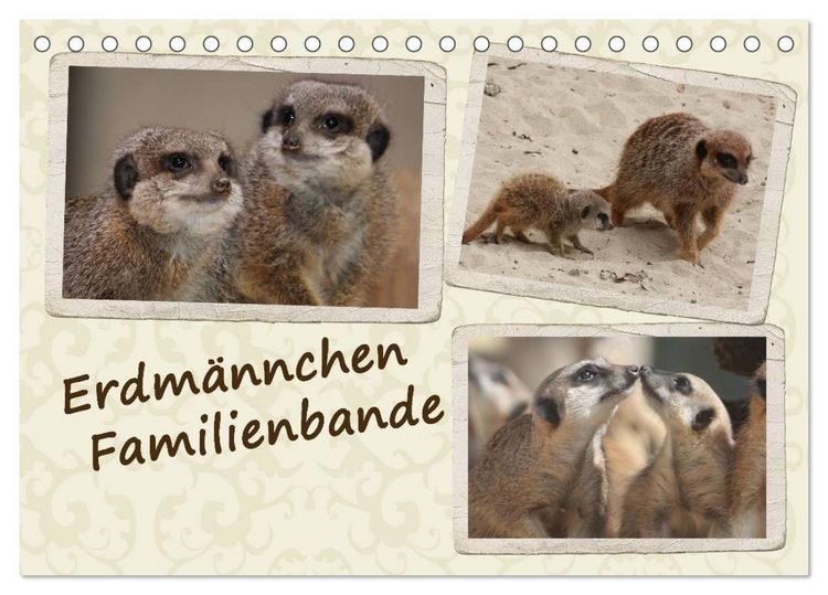 Produktbild: Erdm&auml;nnchen Familienbande (Tischkalender 2026 DIN A5 quer), CALVENDO Monatskalender